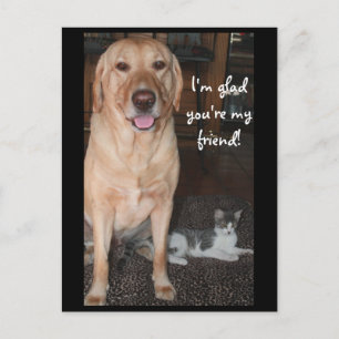 Ich bin froh, dass du mein Freund bist! Postkarte