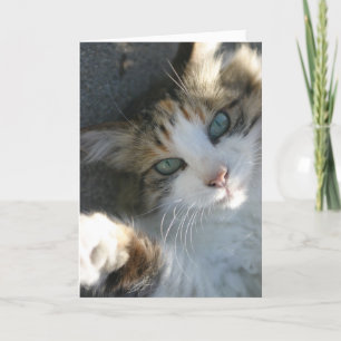 Ich bin für deine Karte hier