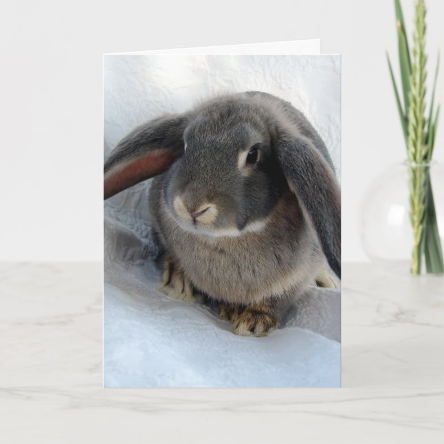 Ich bin ganz Ohr für dich Karte (Vorderseite)