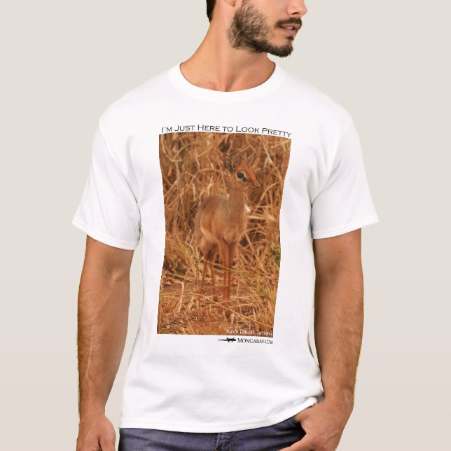 Ich bin gerade hier, hübsch zu schauen - dik-dik T-Shirt (Vorderseite)