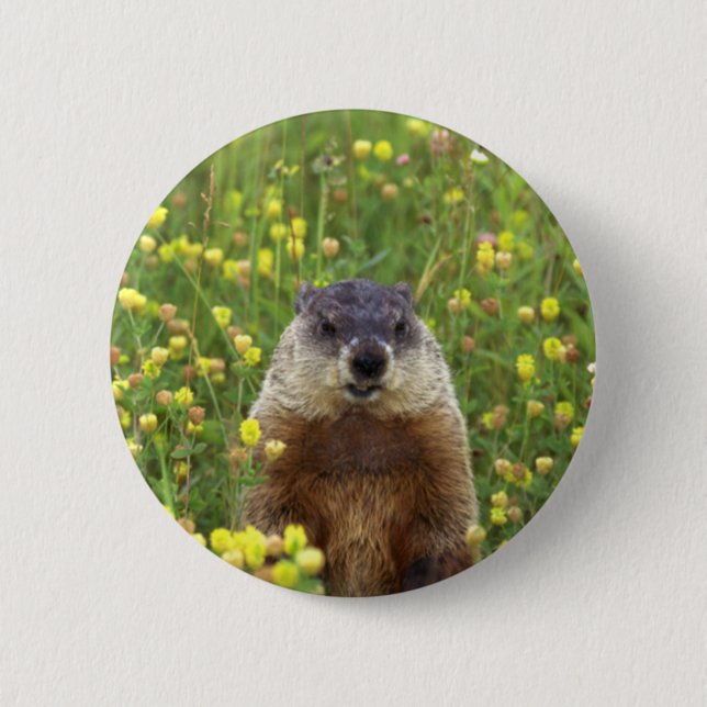 Ich bin Groundhog Button (Vorderseite)
