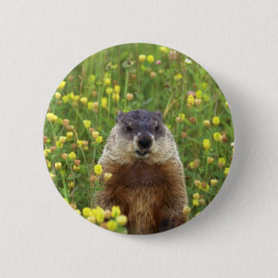 Ich bin Groundhog Button