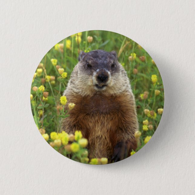 Ich bin Groundhog Button (Vorderseite)
