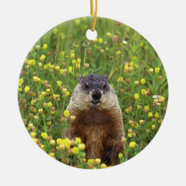 Ich bin Groundhog Keramikornament (Vorne)