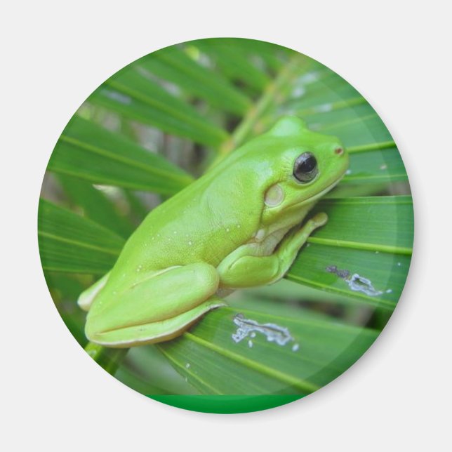 Ich bin grün magnet (Vorne)