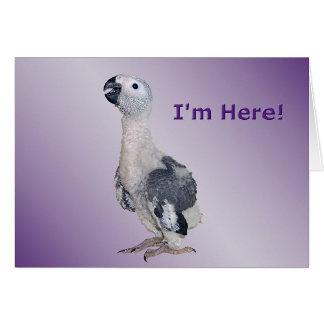 Ich bin hier (Vorderseite (Horizontal))