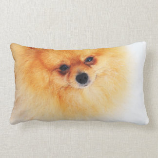 Ich bin hier! lendenkissen