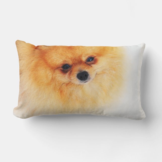 Ich bin hier! lendenkissen (Vorderseite)