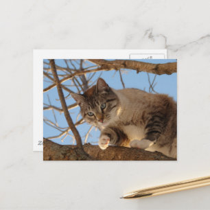 Ich bin hier oben postkarte