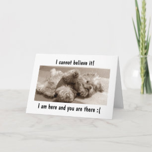 ICH BIN HIER/SIE SIND DA=ICH FEHLERE "YOU" KARTE