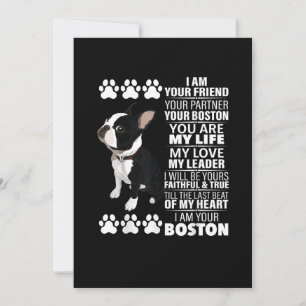 Ich bin Ihr Freund Ihr Partner Ihr Boston Terrier Ankündigung