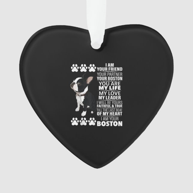 Ich bin Ihr Freund Ihr Partner Ihr Boston Terrier Ornament (Vorderseite)
