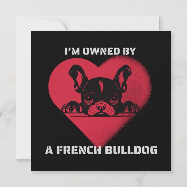 Ich bin im Besitz eines französischen Bulldoggen (Vorderseite)