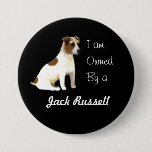 Ich bin im Besitz eines Jack Russell Button