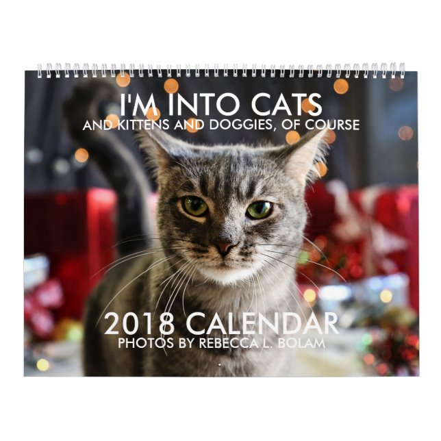 Ich bin IN KALENDER DER KATZEN-2018 durch Rebecca (Titelbild)