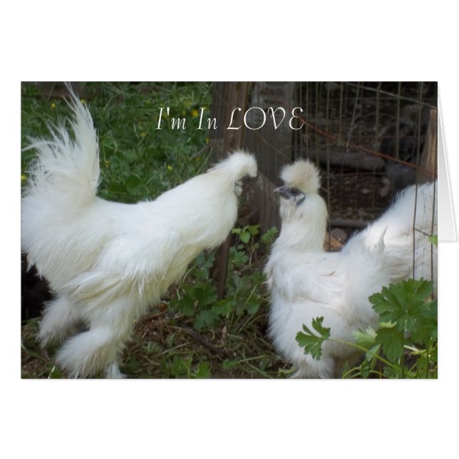 Ich bin in LIEBE (Vorderseite (Horizontal))