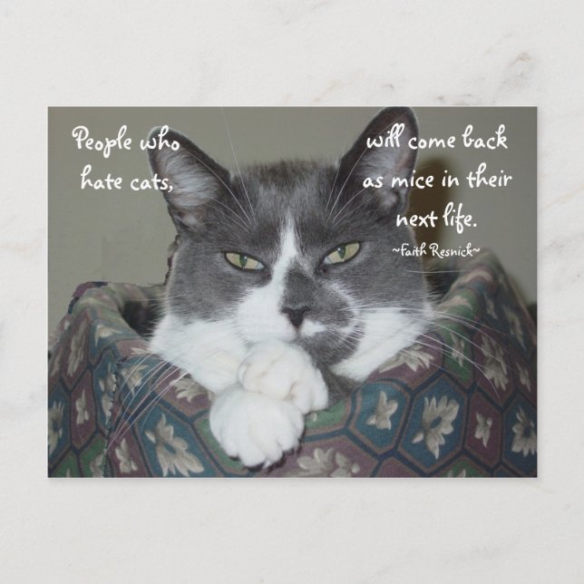 Ich bin Katze... Postkarte (Vorderseite)