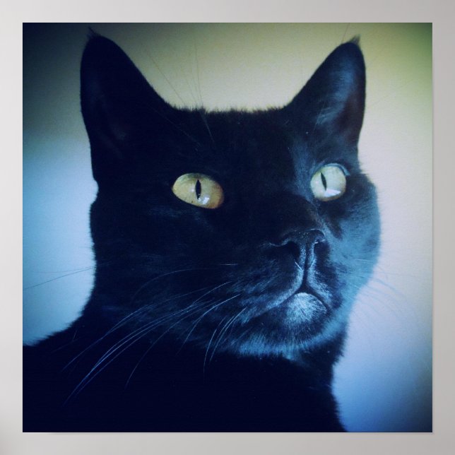 Ich bin Katze Print Poster (Vorne)