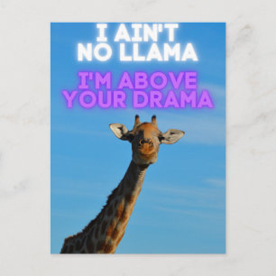 Ich bin kein Lama, ich bin oberhalb Ihres Drama-Gi Postkarte