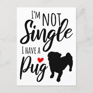 Ich bin kein Single, ich habe einen Mops Postkarte