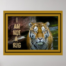 Ich bin kein Teppich Bengal Tiger