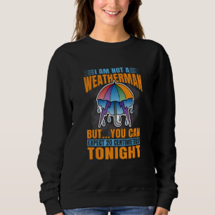 Ich bin kein Wettermann, aber wir können 20 Zentim Sweatshirt
