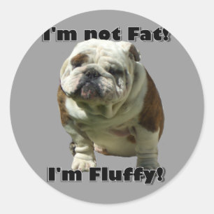 Ich bin keine dicke Bulldog-Aufkleber Runder Aufkleber