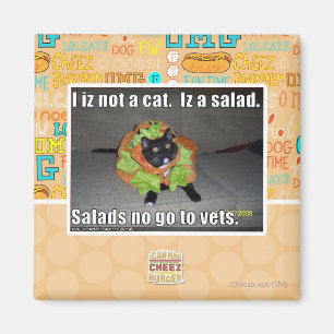 Ich bin keine Katze. Iz ein Salat. Magnet