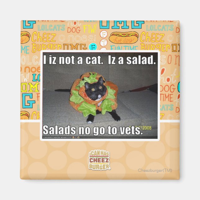 Ich bin keine Katze. Iz ein Salat. Magnet (Vorne)