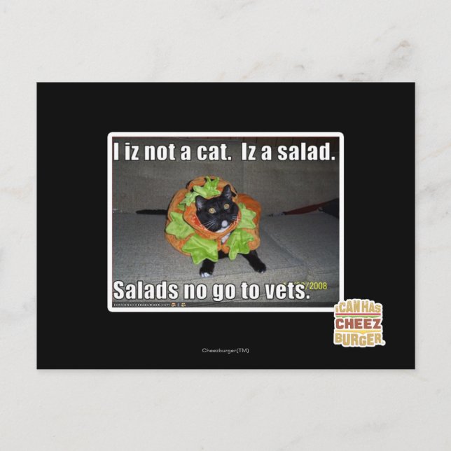 Ich bin keine Katze. Iz ein Salat. Postkarte (Vorderseite)