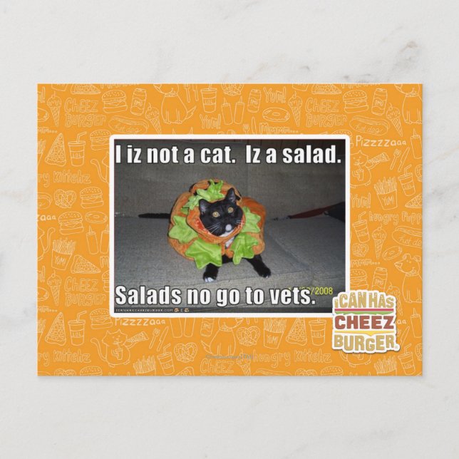Ich bin keine Katze. Iz ein Salat. Postkarte (Vorderseite)