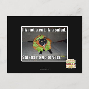 Ich bin keine Katze. Iz ein Salat. Postkarte