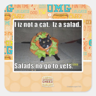 Ich bin keine Katze. Iz ein Salat. Quadratischer Aufkleber