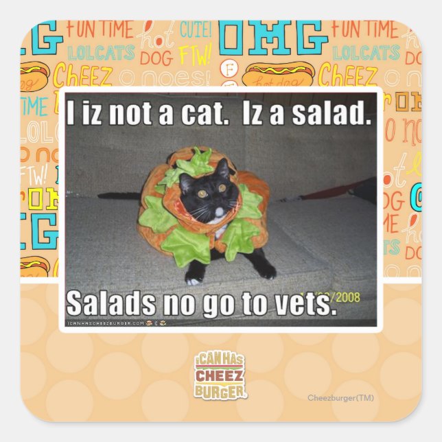 Ich bin keine Katze. Iz ein Salat. Quadratischer Aufkleber (Vorderseite)