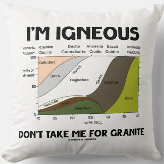 Ich bin leichtsinnig, nimm mich nicht für Granit Kissen