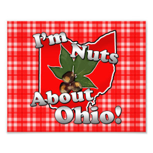 Ich bin Nackt über Ohio, Funny Red Buckeye Nut Fotodruck