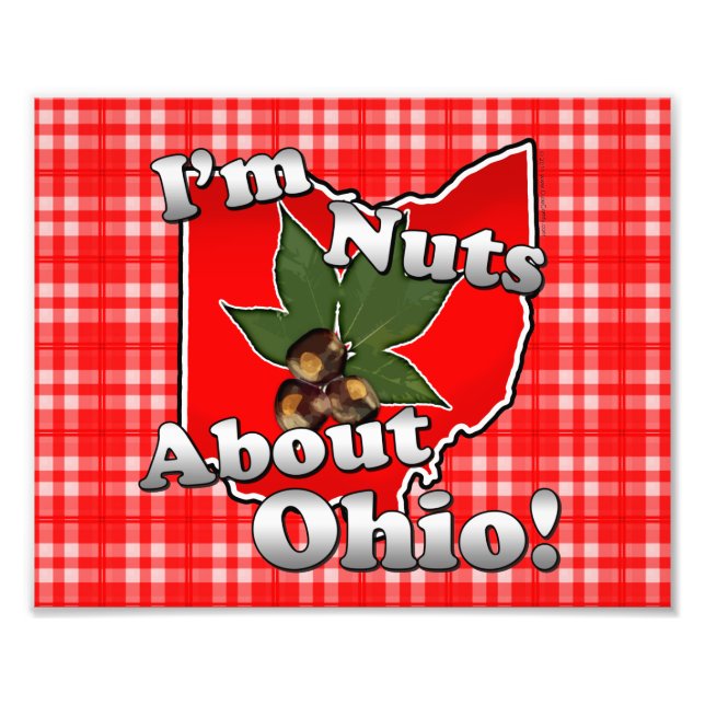 Ich bin Nackt über Ohio, Funny Red Buckeye Nut Fotodruck (Vorne)