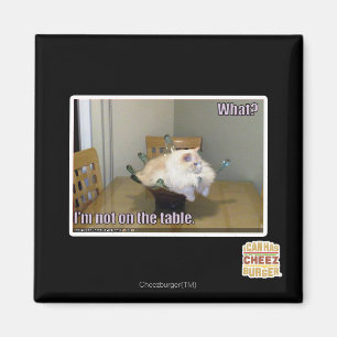 Ich bin nicht auf dem Tisch Magnet