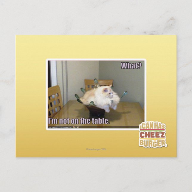 Ich bin nicht auf dem Tisch Postkarte (Vorderseite)