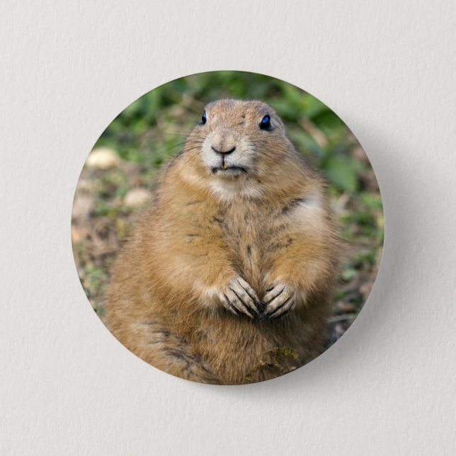 Ich bin nicht fett, ich bin ein gedämpftes Abzeich Button (Vorderseite)
