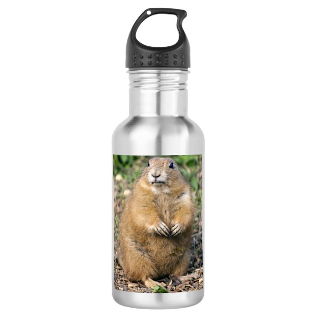 Ich bin nicht fett, ich bin knuddelig trinkflasche (Vorderseite)