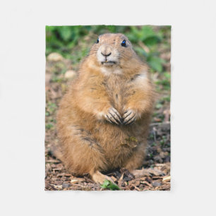 Ich bin nicht, ich bin Cuddly Fleece-Decke fett Fleecedecke