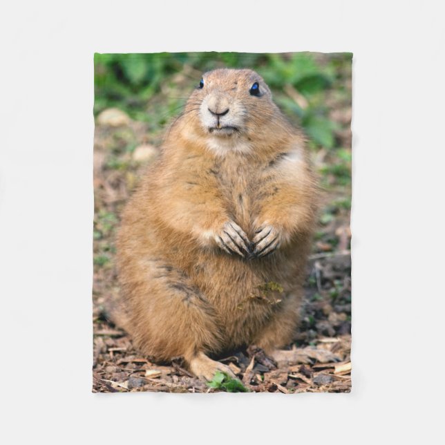 Ich bin nicht, ich bin Cuddly Fleece-Decke fett Fleecedecke (Vorderseite)