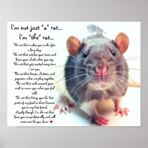 Ich bin nicht nur eine Ratte Poster