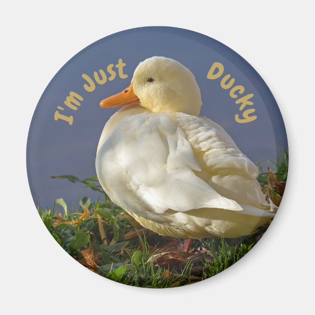 Ich bin nur Ducky Magnet (Vorne)