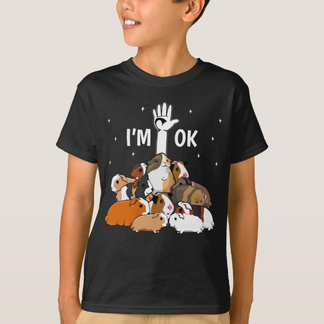 Ich bin Ok Funny Guinea Pigs Lover T-Shirt (Vorderseite)