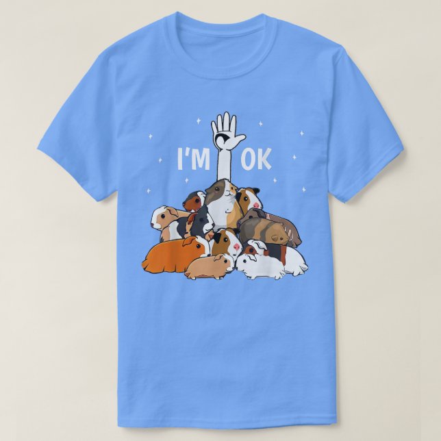 Ich bin Ok Funny Guinea Pigs Lover T-Shirt (Design vorne)