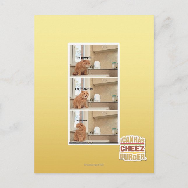 Ich bin Poopin! Postkarte (Vorderseite)
