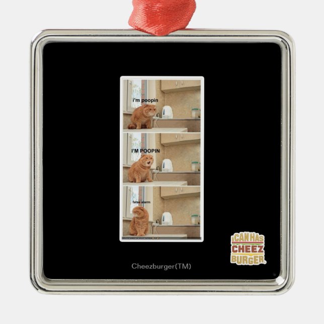 Ich bin Poopin! Silbernes Ornament (Vorne)
