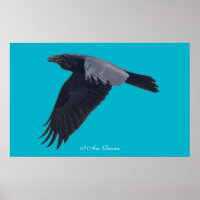 Ich BIN RAVEN / Black Raven Art Poster fliegen